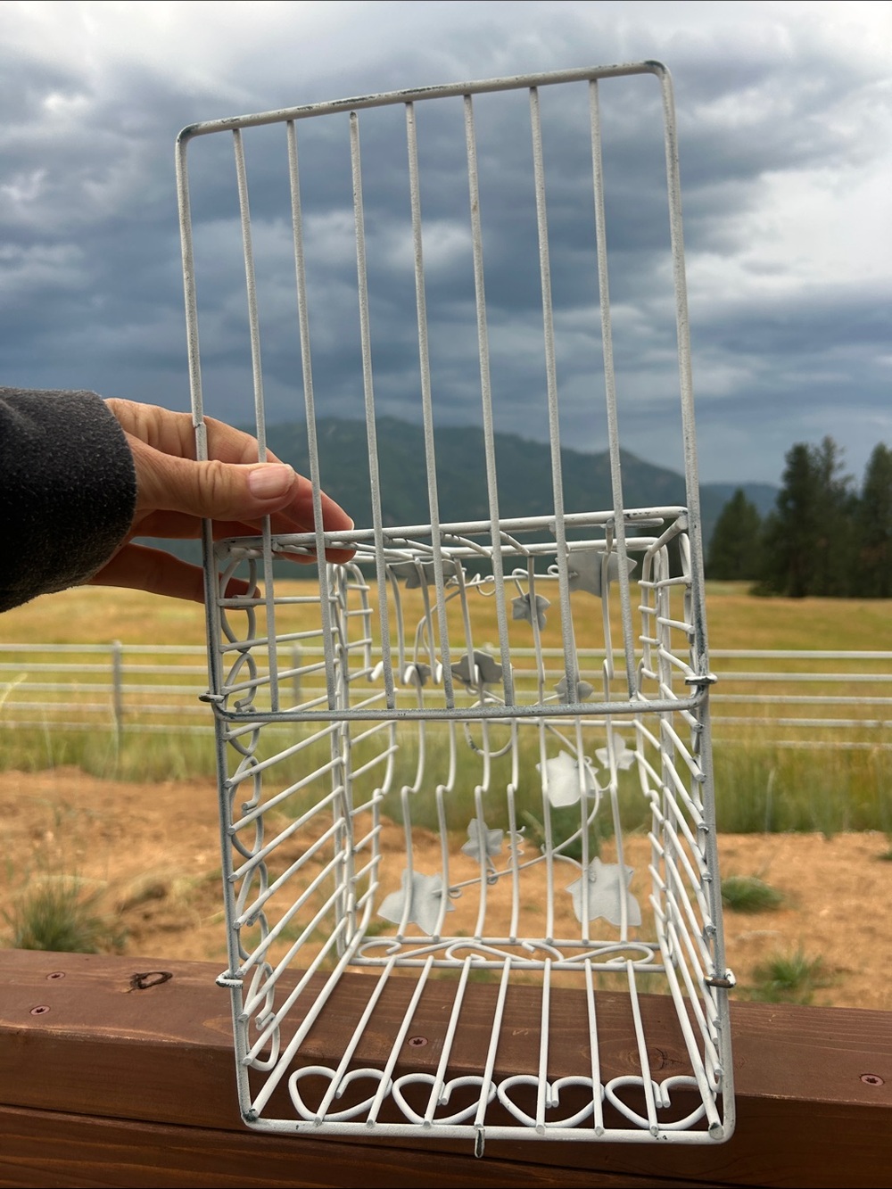 Vintage White Decorative Bird Cage Accent - Picture 8 of 8